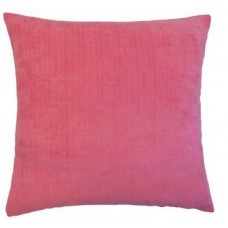 The Pillow Collection Rafiya Outdoor Throw Pillow PICO8530